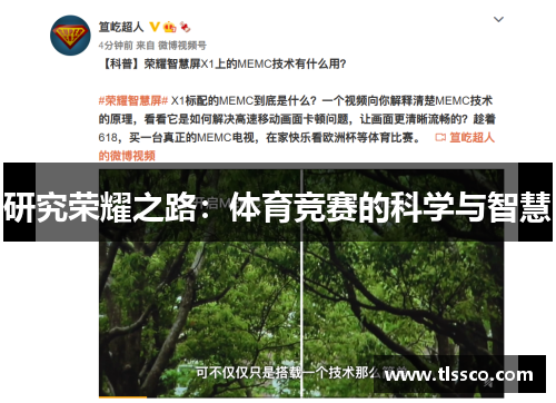 研究荣耀之路：体育竞赛的科学与智慧