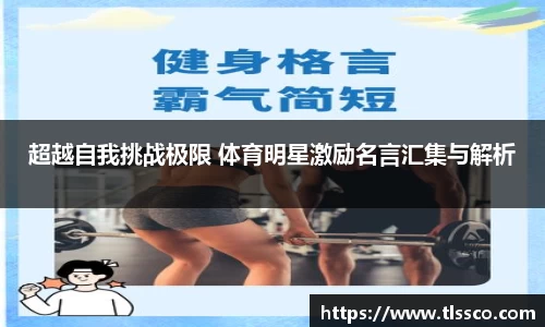 Evo视讯