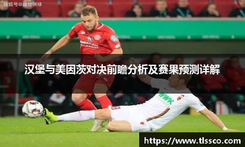 汉堡与美因茨对决前瞻分析及赛果预测详解