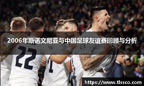 2006年斯诺文尼亚与中国足球友谊赛回顾与分析