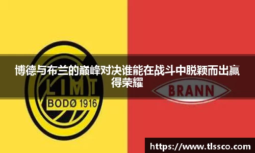 博德与布兰的巅峰对决谁能在战斗中脱颖而出赢得荣耀